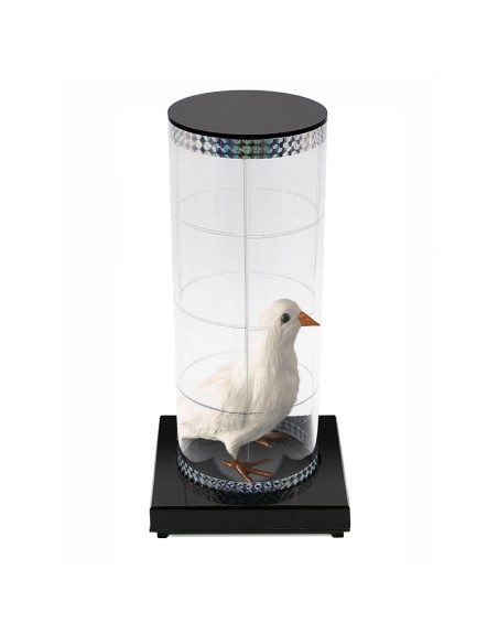 Tube of Wonders - Big