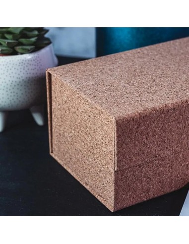 BAISIK Playing Card Storage