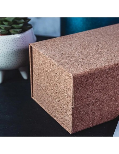 BAISIK Playing Card Storage