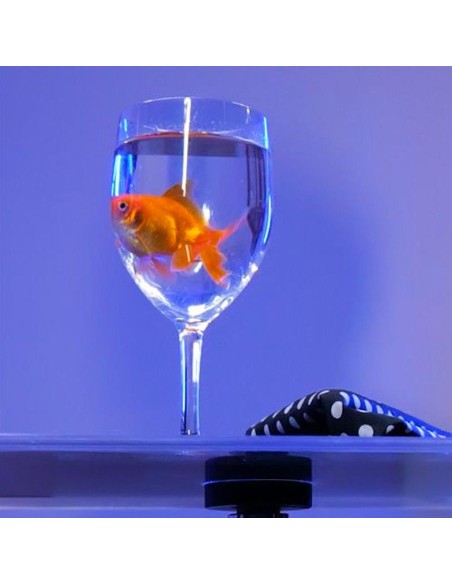 C-LIFE by Jerome Sauloup