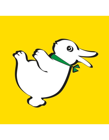 Foulard coniglio-papera cm 90 - Set