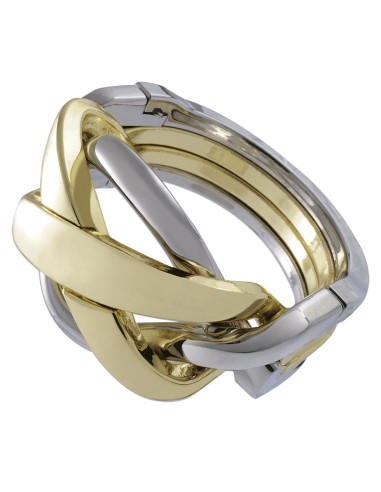 Huzzle Cast Ring - Difficoltà difficile