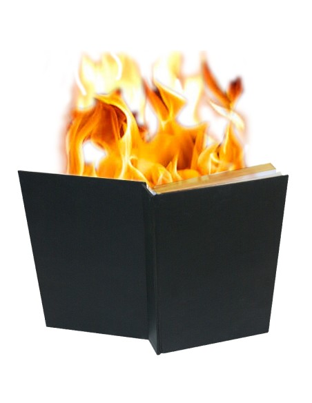 Libro in fiamme