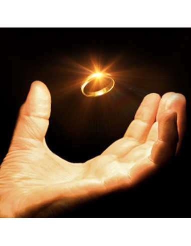 Tarantula II by Yigal Mesika