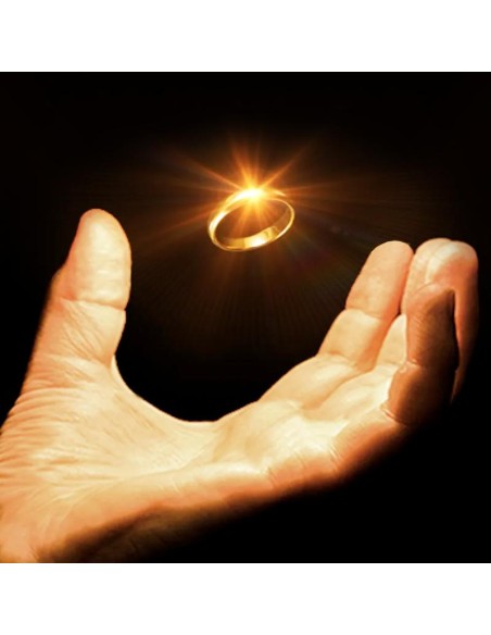 Tarantula II by Yigal Mesika