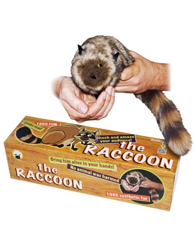 The Raccoon - 100% pelo sintetico