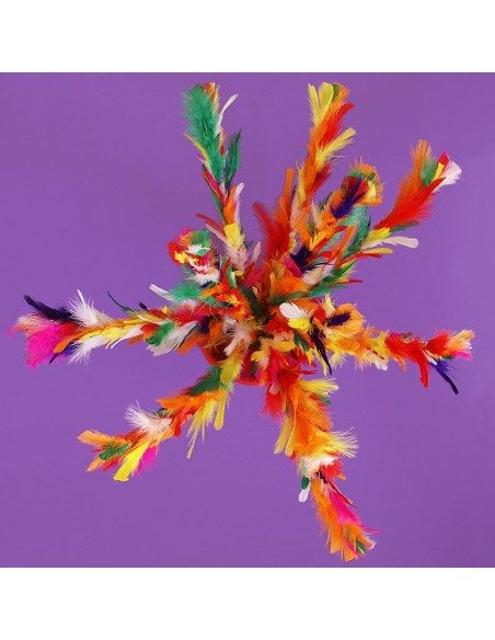 Fiorin fiorello - Ultra