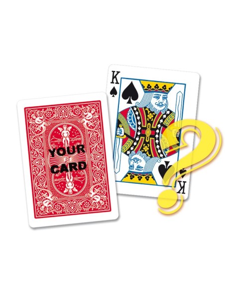 Prediction Metamorphosis