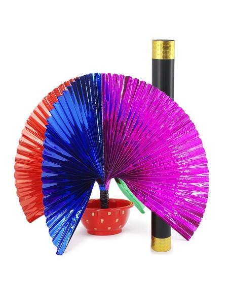 Fiorin fiorello - Special