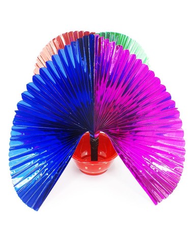 Fiorin fiorello - Special