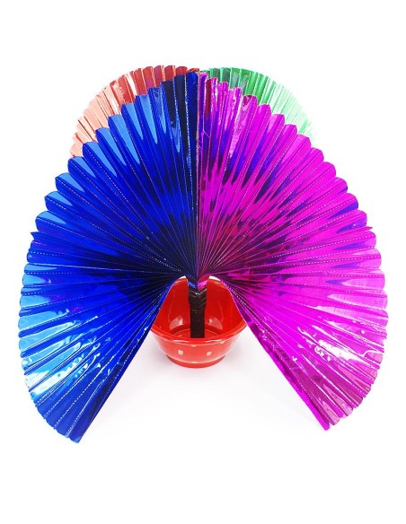 Fiorin fiorello - Special