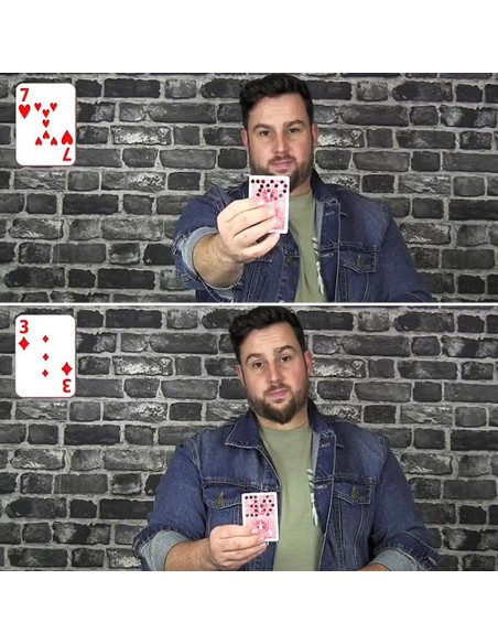 Perfo by Alexis Touchard