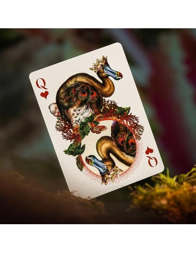 Moooi Extinct Animals Playing Cards - Limited Edition