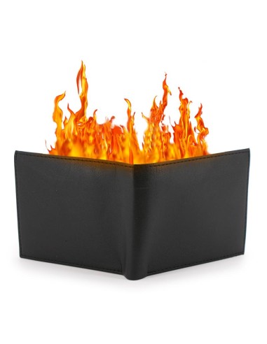 Portafoglio in Fiamme - Professional