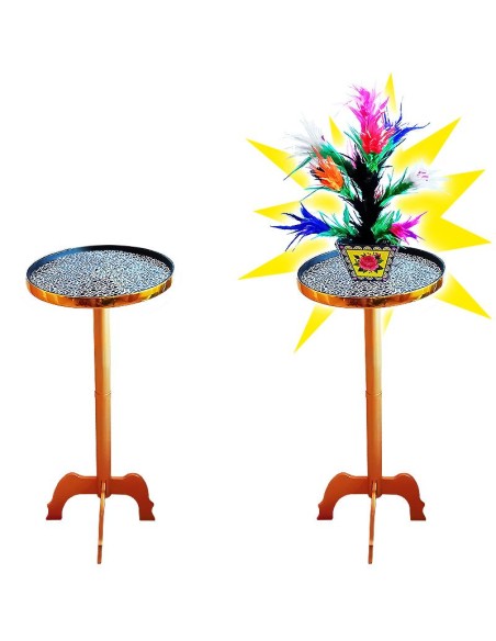 Sparizione del vaso di fiori