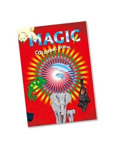 Il libro incantato - Grande