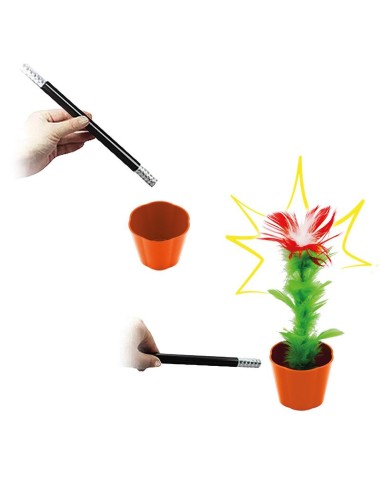 Magic Appearing Flower