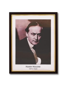 Houdini Prediction Frame