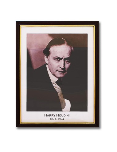 Houdini Prediction Frame