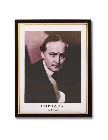 Houdini Prediction Frame