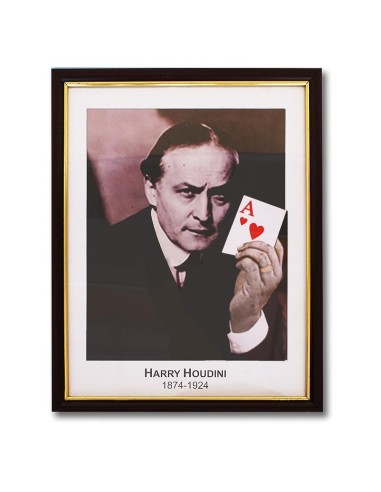 Houdini Prediction Frame