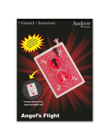 Angel\'s Flight by Andrew and Ednei Ernesto