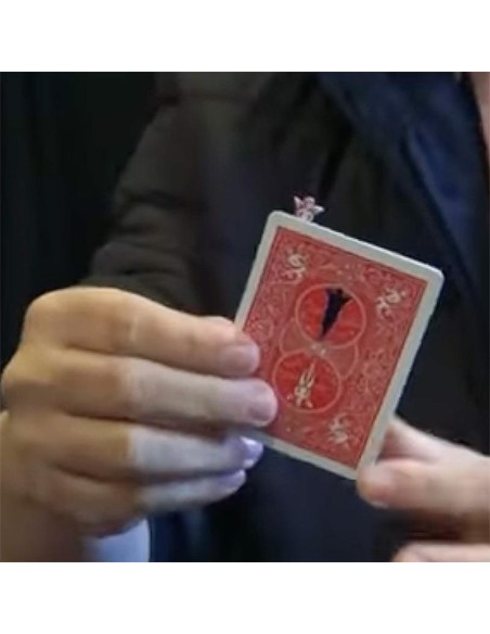 Angel\'s Flight by Andrew and Ednei Ernesto