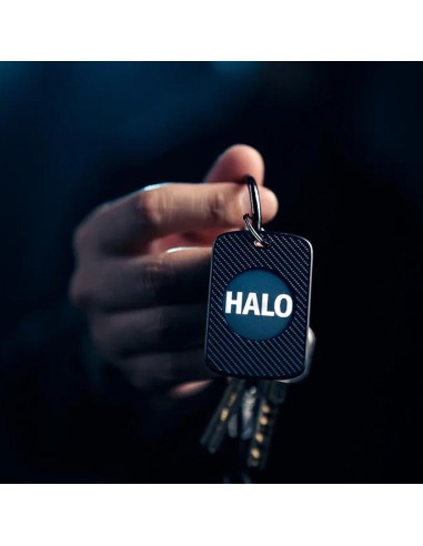 PITATA Prediction Keychain