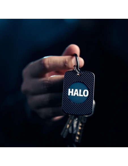 PITATA Prediction Keychain