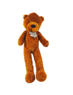 Appearing Teddy Bear - Large size