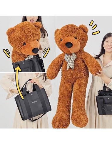 Appearing Teddy Bear - Medium size