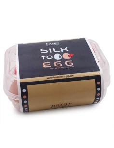 Silk to Egg by Michael Ammar