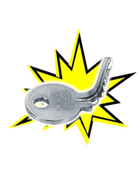 La chiave misteriosa