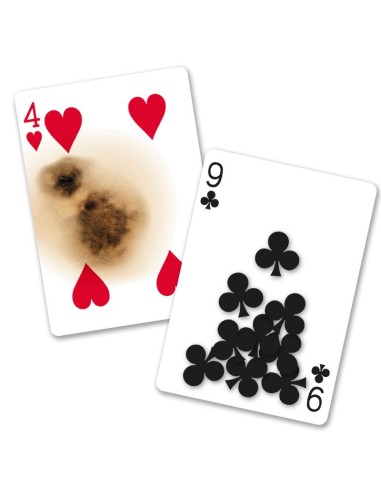 Bicycle - Super Gaff Deck