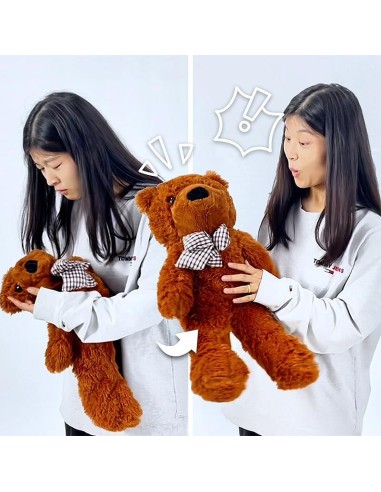 Appearing Teddy Bear - Small size