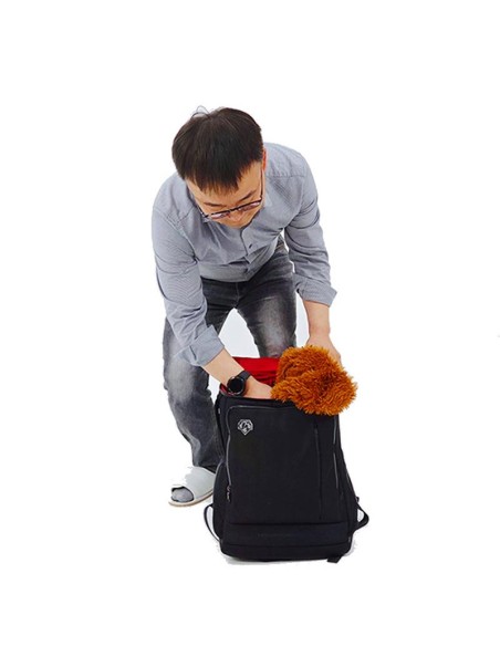 Appearing Teddy Bear - Large size