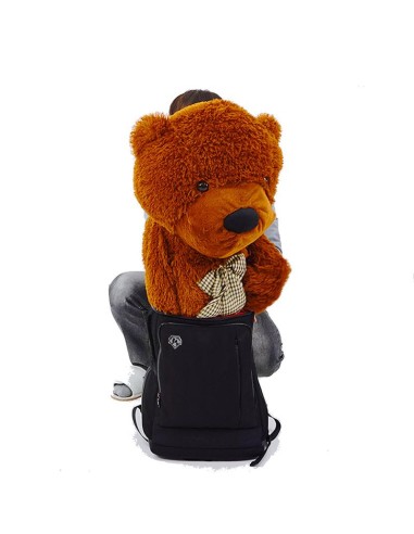 Appearing Teddy Bear - Large size