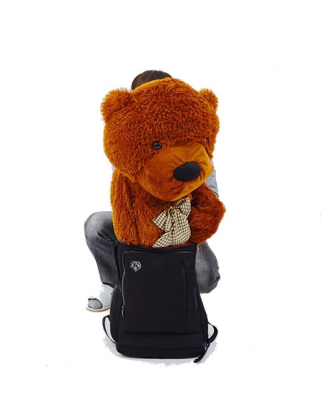 Appearing Teddy Bear - Large size