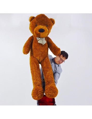 Appearing Teddy Bear - Large size