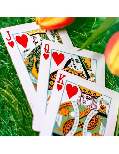 Butterfly Seasons Playing Cards - Spring  (marked)