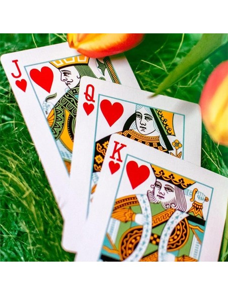 Butterfly Seasons Playing Cards - Spring  (marked)