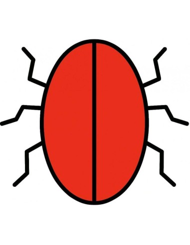 CocoTrick damien Vappereau & Marc Celiandre