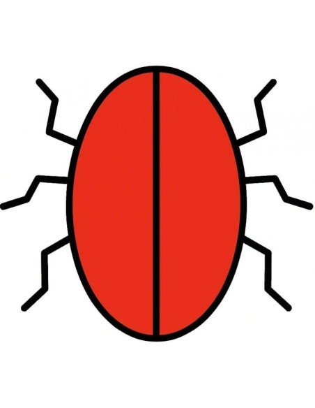 CocoTrick damien Vappereau & Marc Celiandre