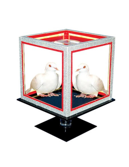 Special Disappearing Dice by Tora Magic