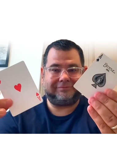 ACES  by Mickael Chatelain