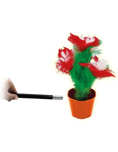Magic Appearing Flowers