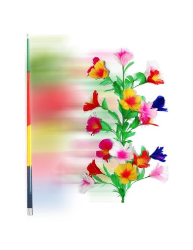Vanishing Cane to Flowers - Multicolor